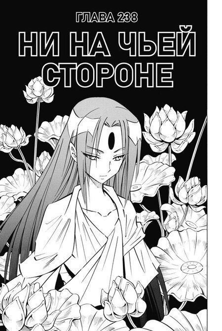 Фотография книги "Хироюки Такэи: Король шаманов. Том 14 (Shaman King). Манга"