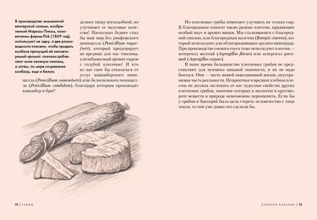 Фотография книги "Хофрихтер: Грибы. Обитатели скрытого мира"