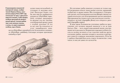 Фотография книги "Хофрихтер: Грибы. Обитатели скрытого мира"