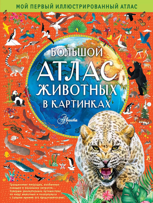 Обложка книги "Хокинс, Уильямс: Большой атлас животных в картинках"