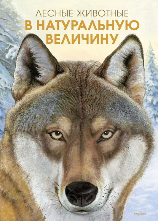 Обложка книги "Хольгер Хааг: Лесные животные в натуральную величину"