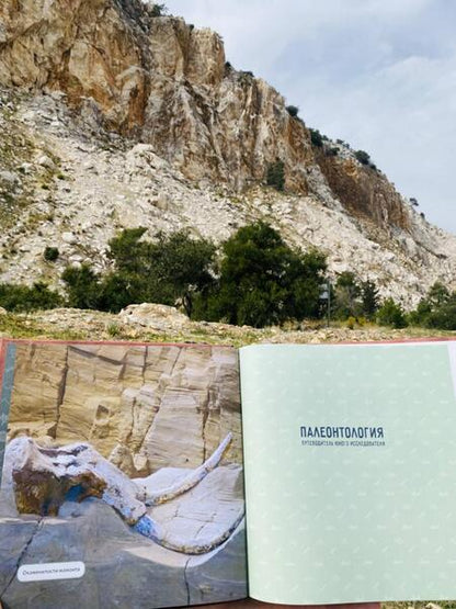 Фотография книги "Холл: Палеонтология. Путеводитель юного исследователя"