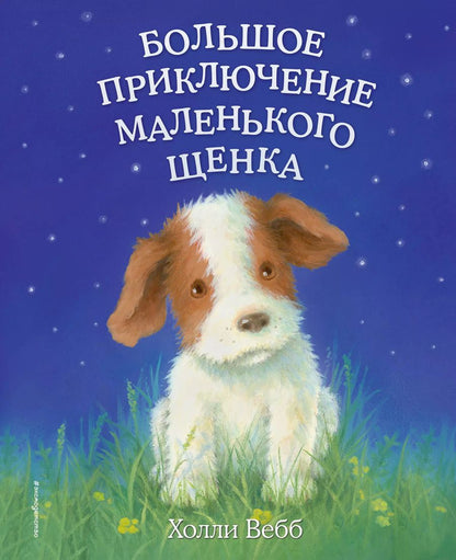 Обложка книги "Холли Вебб: Большое приключение маленького щенка"