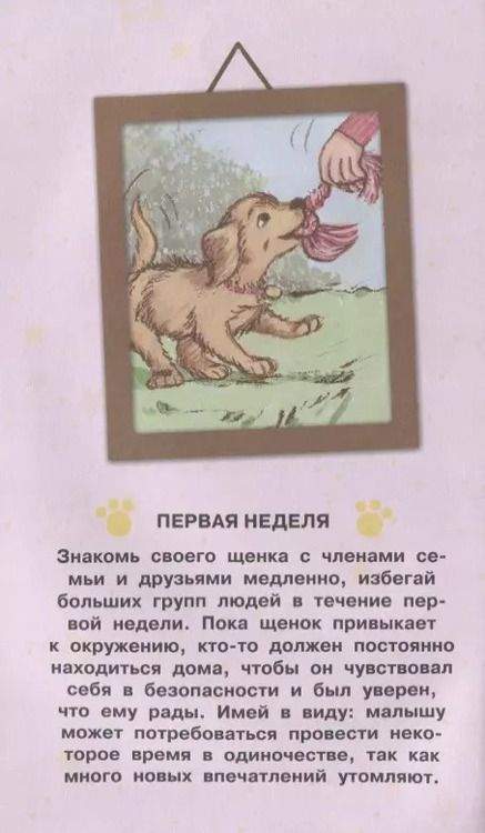 Фотография книги "Холли Вебб: Дневник моего щенка (с фигурным замочком, Китай)"