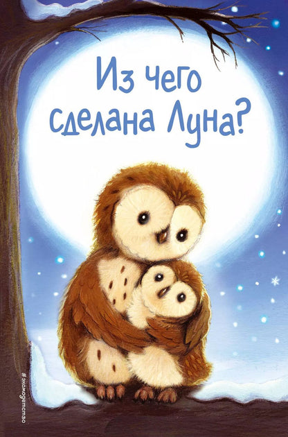 Обложка книги "Холли Вебб: Из чего сделана Луна? (выпуск 7)"
