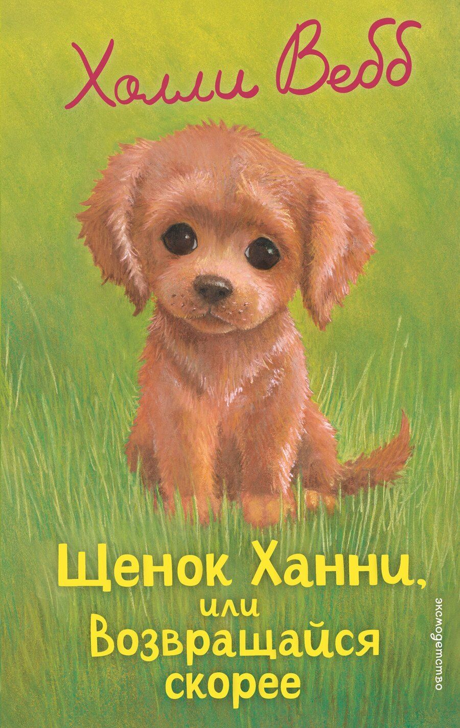 Обложка книги "Холли Вебб: Щенок Ханни, или Возвращайся скорее"