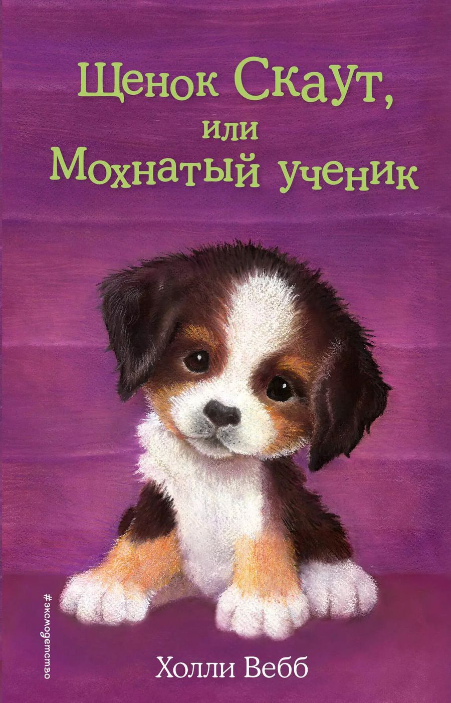 Обложка книги "Холли Вебб: Щенок Скаут, или Мохнатый ученик (выпуск 38)"