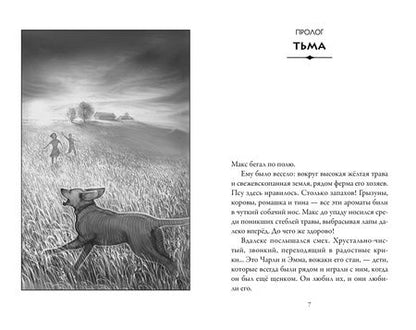 Фотография книги "Холт: Верные. Книга 1. Когда исчезли все люди"