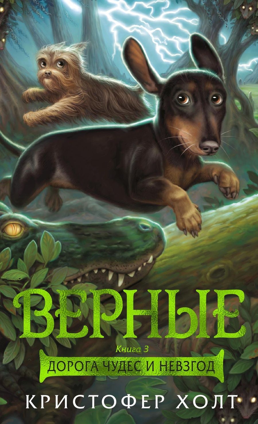 Обложка книги "Холт: Верные. Книга 3. Дорога чудес и невзгод"