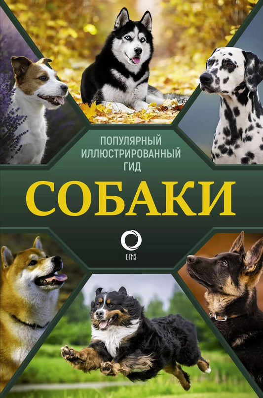 Обложка книги "Хомич, Барановская, Вайткене: Собаки. Популярный иллюстрированный гид"