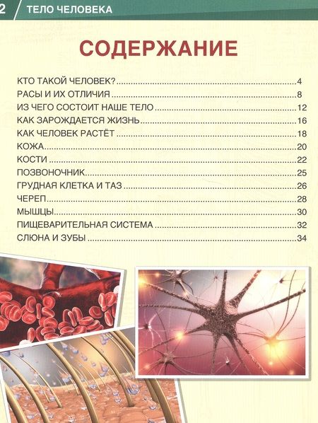 Фотография книги "Хомякова: Тело человека. 365 фактов"
