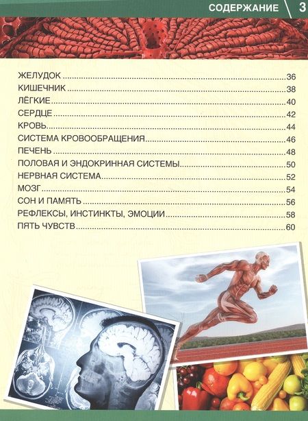 Фотография книги "Хомякова: Тело человека. 365 фактов"