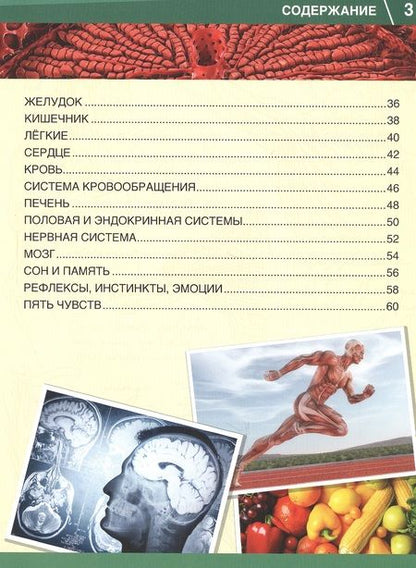 Фотография книги "Хомякова: Тело человека. 365 фактов"