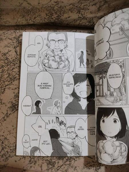 Фотография книги "Хосода: Волчьи дети Амэ и Юки. Том 2"