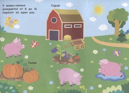 Фотография книги "Хотулев: Кто на ферме живет? Волшебная книжка с клапанами"