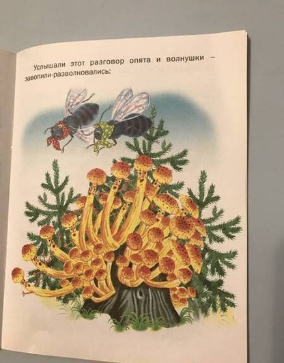 Фотография книги "Храбрый кузнечик"