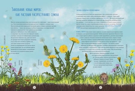 Фотография книги "Хубер-Яниш: Дикий луг. Открываем многообразие мира, скрытого от нашего взора"