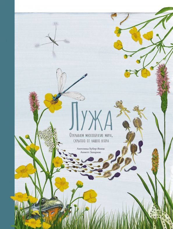 Обложка книги "Хубер-Яниш: Лужа. Открываем многообразие мира, скрытого от нашего взора"