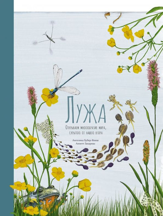 Обложка книги "Хубер-Яниш: Лужа. Открываем многообразие мира, скрытого от нашего взора"