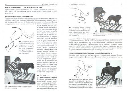 Фотография книги "Хурдебайт, Сеймур: Массаж собак. Практическое руководство"