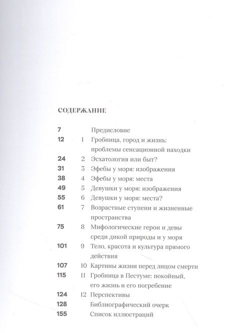 Фотография книги "Хёльшер: Ныряльщик из Пестума: юность, эрос и море в Древней Греции"