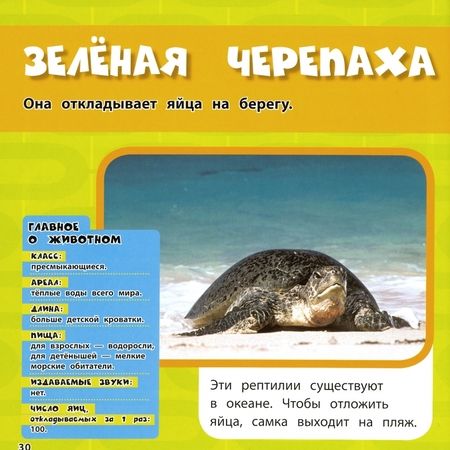 Фотография книги "Хьюз: Животные. Моя первая энциклопедия"