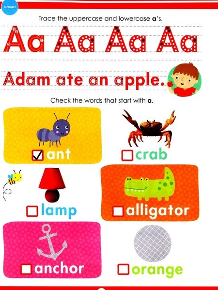 Фотография книги "Kindergarten Extra Big Skills Workbook. Writing and Spelling"