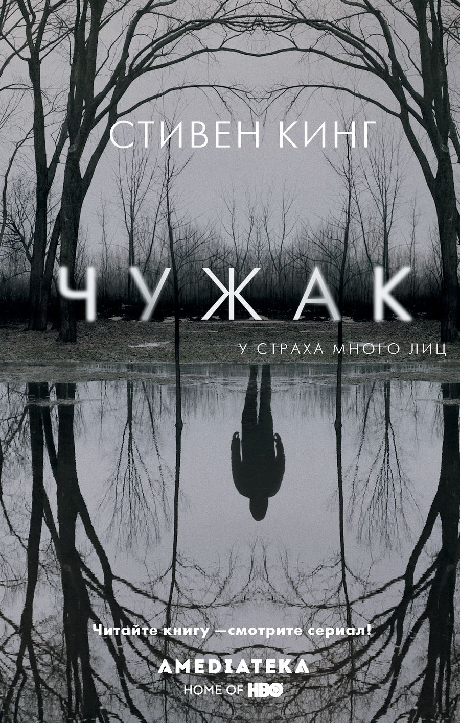 Обложка книги "Кинг: Чужак"