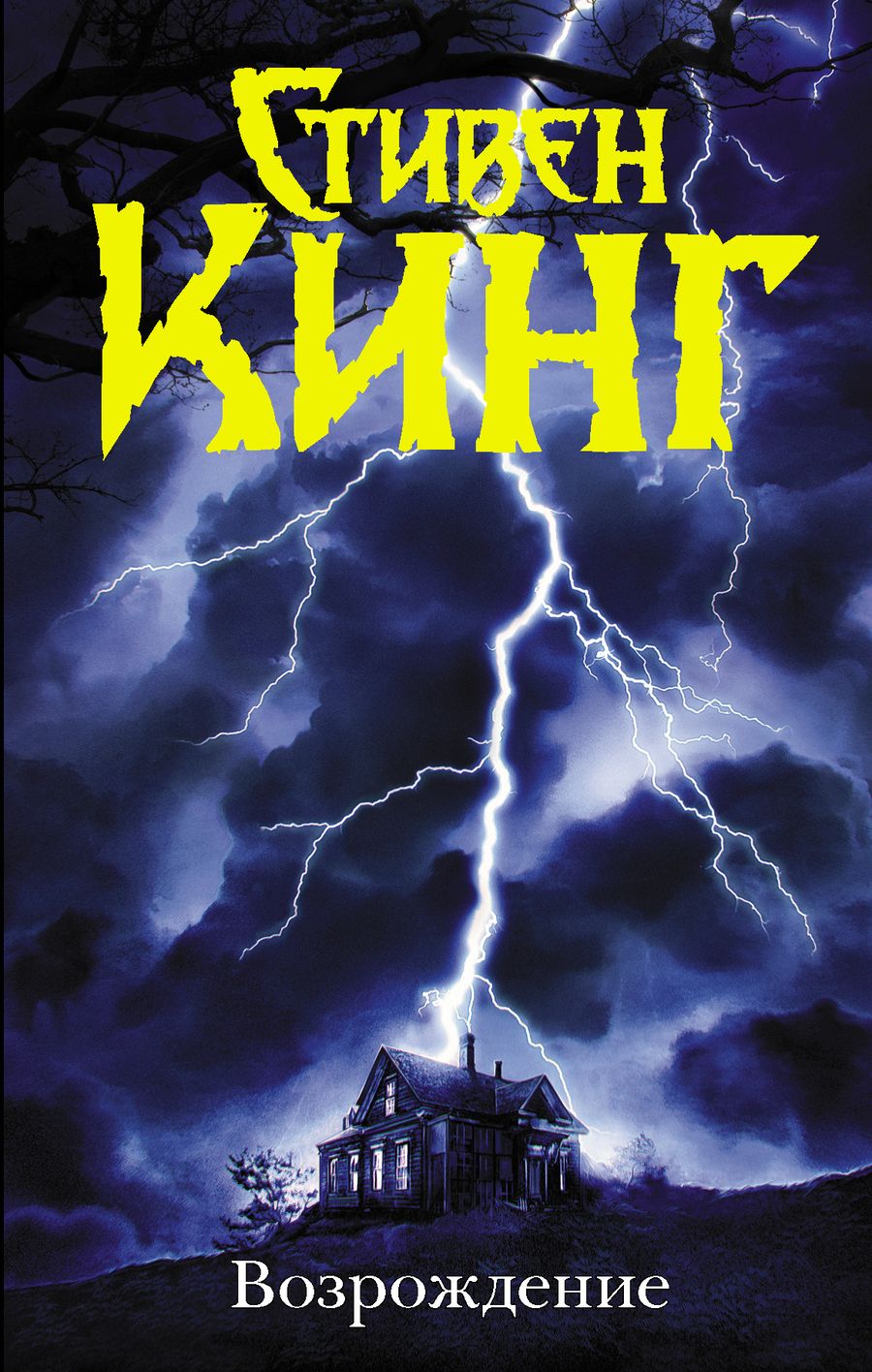 Обложка книги "Кинг: Возрождение"