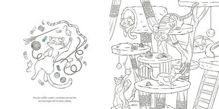 Фотография книги "Кира Евгеньевна: Кошки"