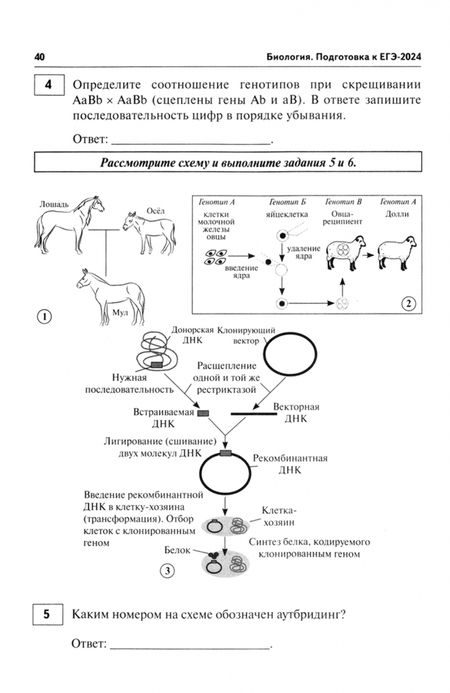 Фотография книги "Кириленко, Колесников, Даденко: Биология. Подготовка к ЕГЭ-2024. 30 тренировочных вариантов по демоверсии 2024 года"