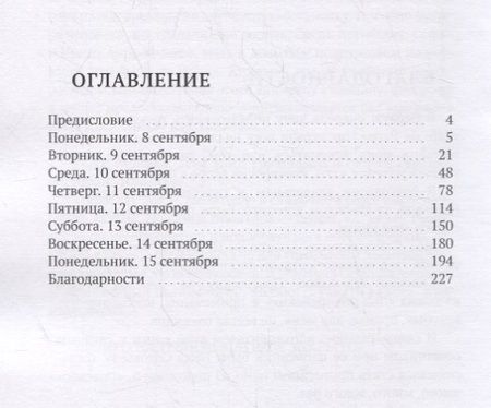 Фотография книги "Кирилл Соловьев: Два полицейских. Дело о надувном матрасе"
