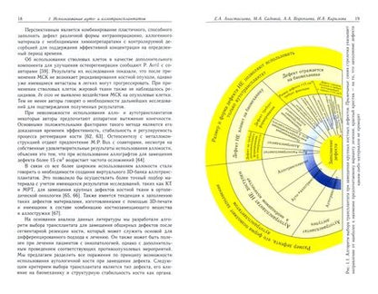 Фотография книги "Кирилова, Алейник, Анастасиева: Физико-химические и механические свойства внеклеточного матрикса как сигналы для управления"