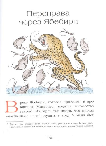 Фотография книги "Кирога Орасио: На берегах Ябебири"