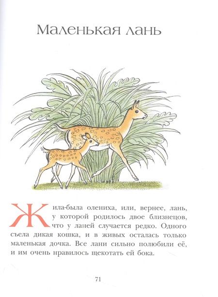 Фотография книги "Кирога Орасио: На берегах Ябебири"