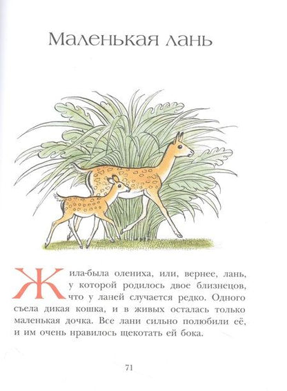 Фотография книги "Кирога Орасио: На берегах Ябебири"