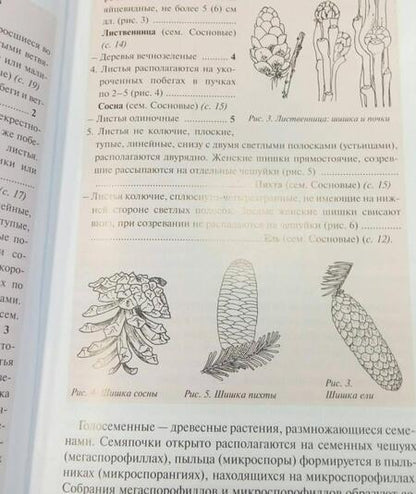 Фотография книги "Киселева, Майоров, Новиков: Определитель деревьев и кустарников средней полосы России"