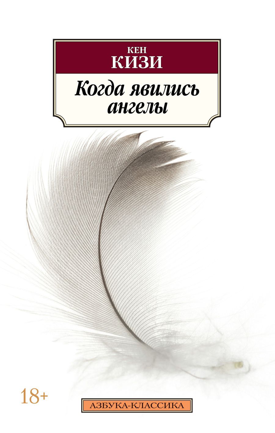 Обложка книги "Кизи: Когда явились ангелы"