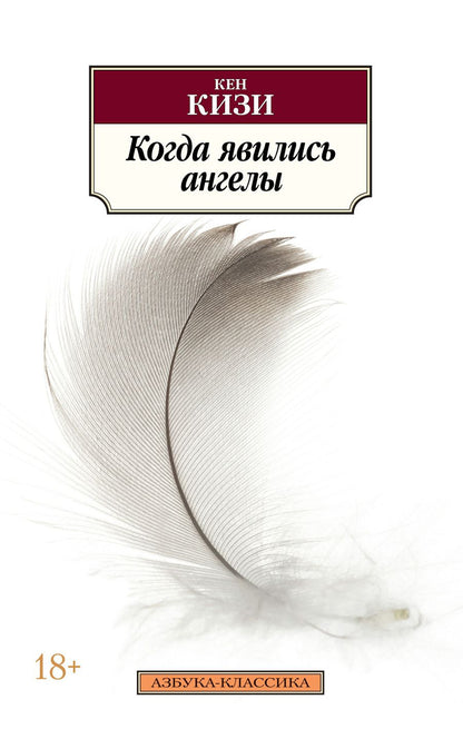 Обложка книги "Кизи: Когда явились ангелы"