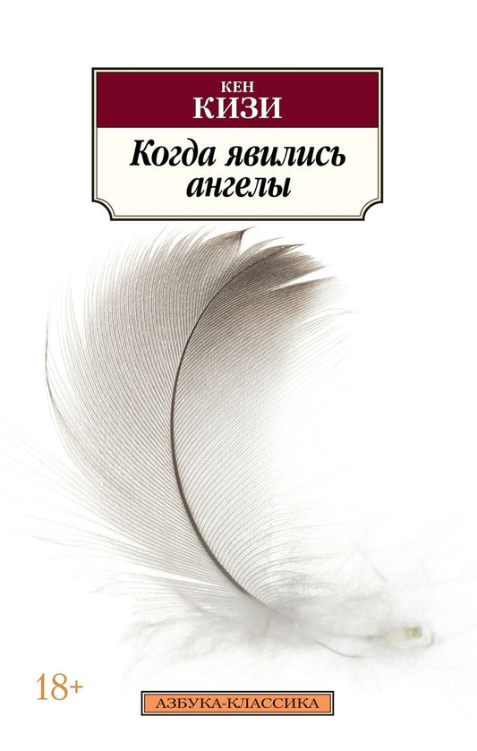 Обложка книги "Кизи: Когда явились ангелы"