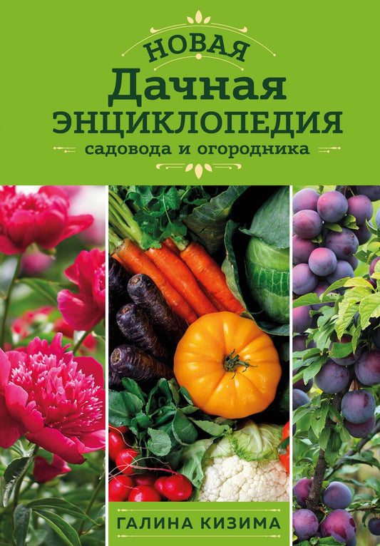 Обложка книги "Кизима: Новая дачная энциклопедия садовода и огородника"