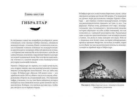 Фотография книги "Клайв Финлейсон: Умный неандерталец. Охота на птиц, пещерное искусство и когнитивная революция"