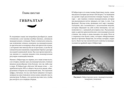 Фотография книги "Клайв Финлейсон: Умный неандерталец. Охота на птиц, пещерное искусство и когнитивная революция"