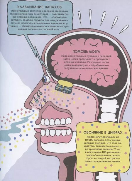 Фотография книги "Клайв Гиффорд: Запах. Обонятельные факты"