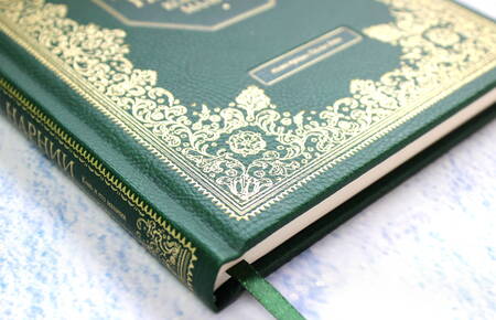 Фотография книги "Клайв Льюис: Хроники Нарнии. Конь и его мальчик"