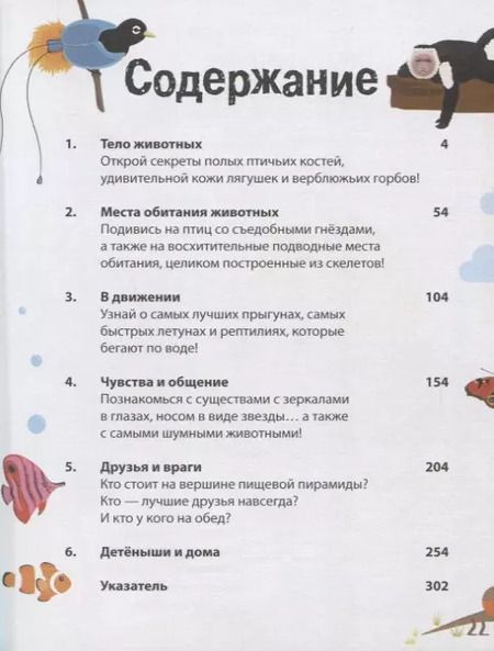 Фотография книги "Клэр Хибберт: Животные. 500 удивительных фактов"