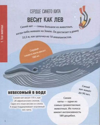 Фотография книги "Клэр Хибберт: Животные. 500 удивительных фактов"