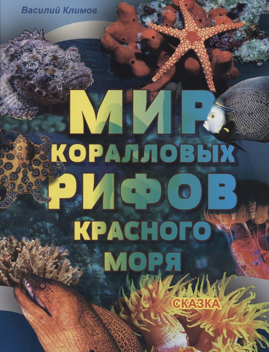 Обложка книги "Климов: Мир коралловых рифов Красного моря"