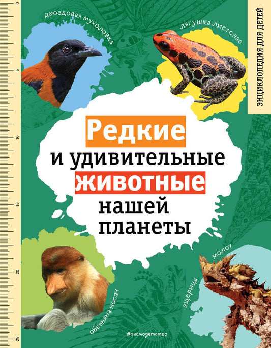 Обложка книги "Климов: Редкие и удивительные животные нашей планеты"
