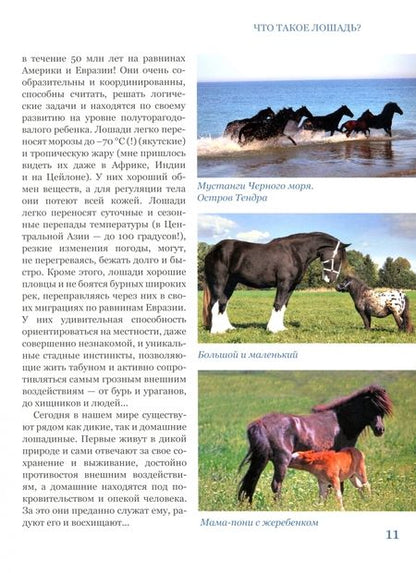 Фотография книги "Климов: С лошадью на века! Энциклопедия юного конника"